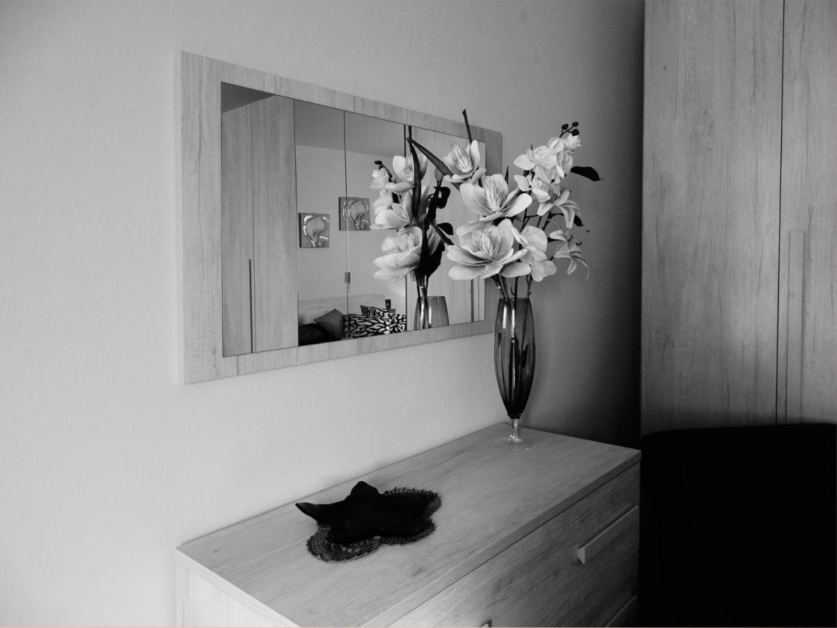 Dolci Sogni Hotel ปิซา ภายนอก รูปภาพ